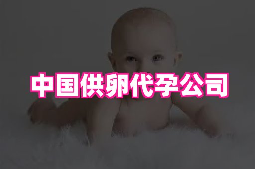 泉州助孕网 2